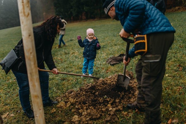 Ovocná alej vysazena na počest loňského Stromu roku