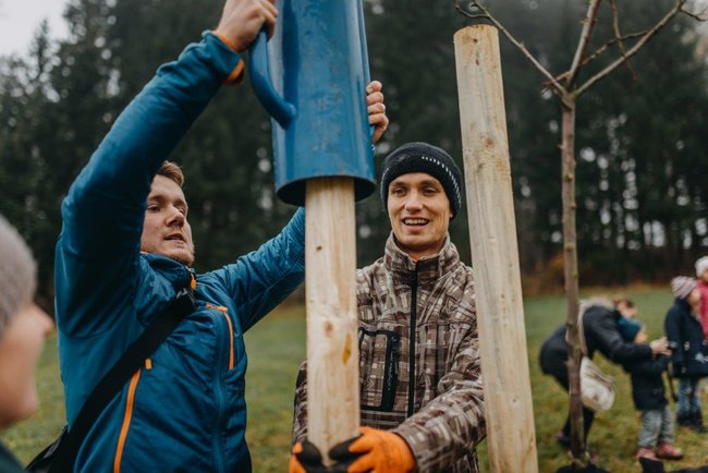 Ovocná alej vysazena na počest loňského Stromu roku