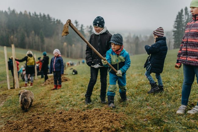 Ovocná alej vysazena na počest loňského Stromu roku