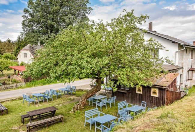 Jabloň u Lidmanů si odnáší zlatou. Strom roku je poprvé ovocný 