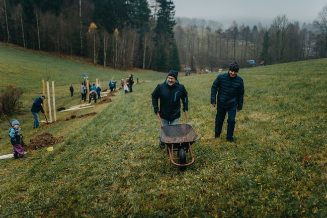 Ovocná alej vysazena na počest loňského Stromu roku