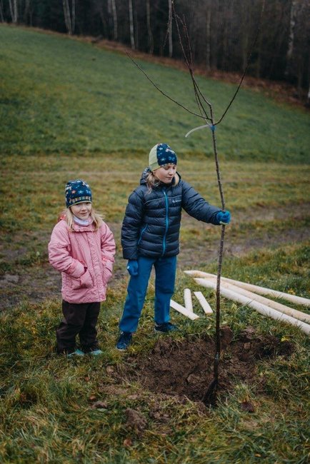 Ovocná alej vysazena na počest loňského Stromu roku
