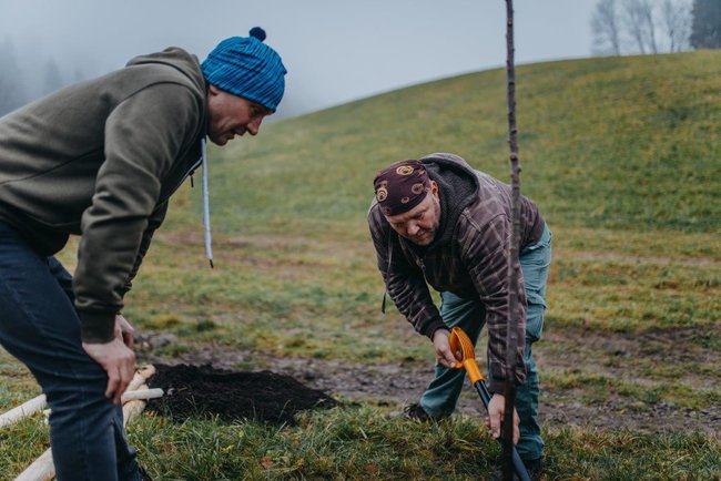 Ovocná alej vysazena na počest loňského Stromu roku