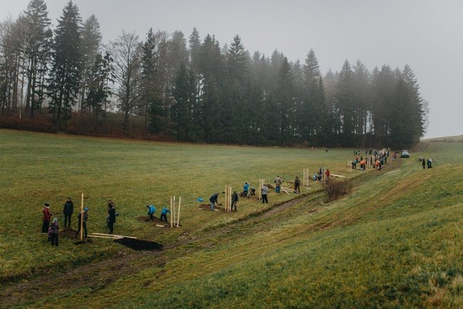 Ovocná alej vysazena na počest loňského Stromu roku 