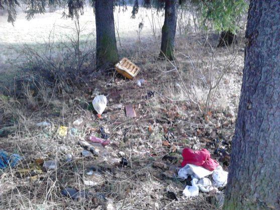 Stromodění a oddíl skautů zvou na Velký jarní úklid Broumovska