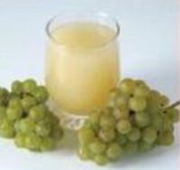 Broumovské vinobraní. Ochutnávka burčáku poprvé v broumovském klášteře