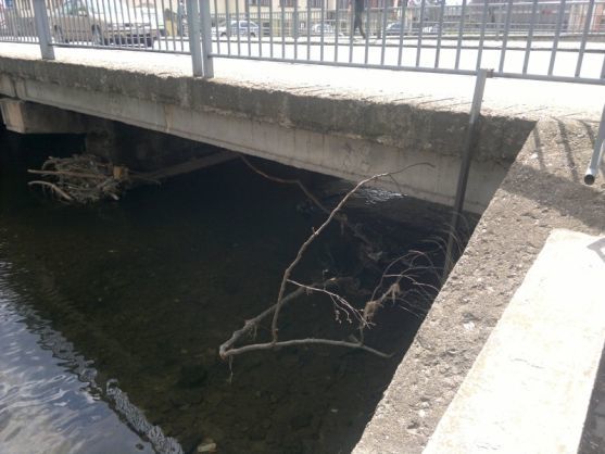 Hasiči vytáhli ze Stěnavy topícího se muže