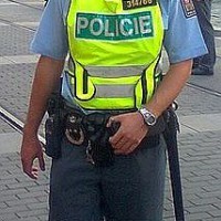 Policie v Polici nad Metují zadržela podezřelého z krádeží v místních prodejnách