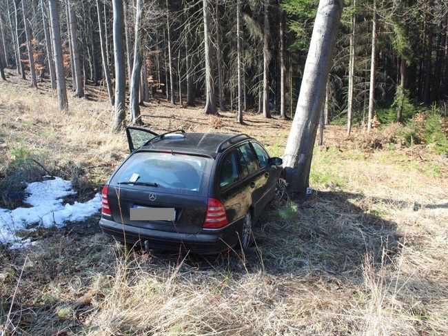 Snažil se ujet policii, ale skončil ve stromě. Po zadržení odmítl test na drogy