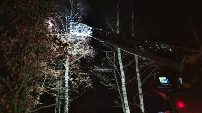 Hasiči v Královéhradeckém kraji odstraňovali následky bouře Sabine. Broumovsko bylo ušetřeno