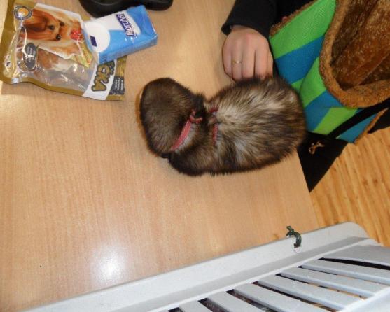 Den otevřených dveří potvrdil stálý zájem o broumovské gymnázium