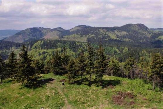 Podzimní vyhlídková hřebenovka po Javořích horách