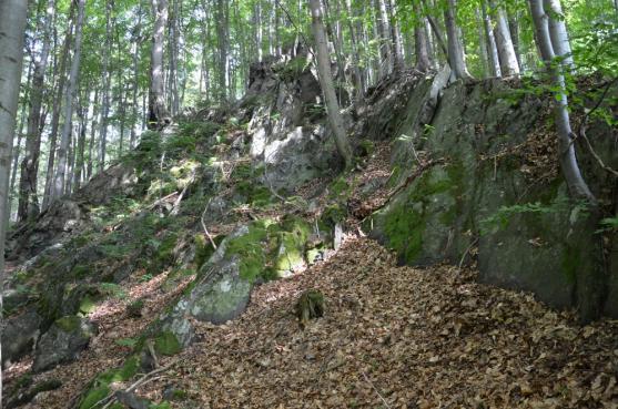 Ze Žacléře přes Liščí kameny na Stachelberg