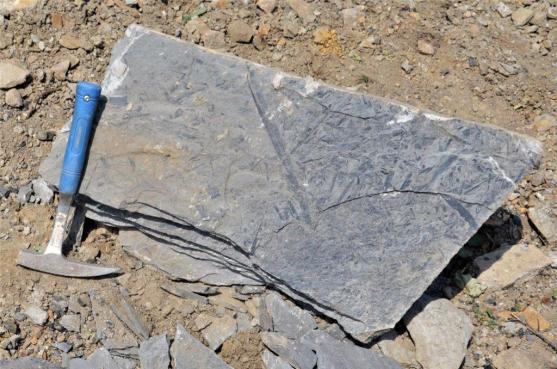 Ze Žacléře do Žacléře přes vyvřelý Královecký špičák