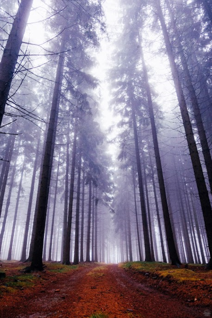 Tvář a vous absolventa broumovského gymnázia dominují článku v MF Dnes