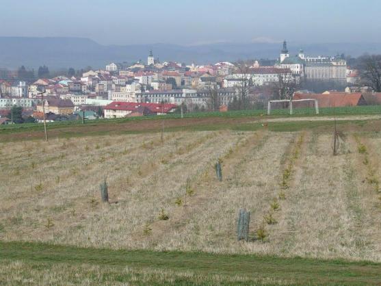 S golfem se dá začít v každém věku
