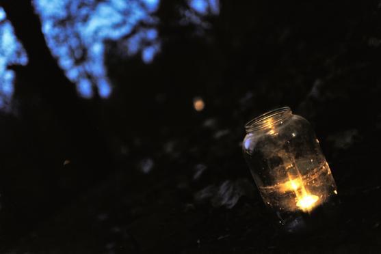 Strašidelnou Alejku letos znovu naplnila strašidla, děti a jejich smích