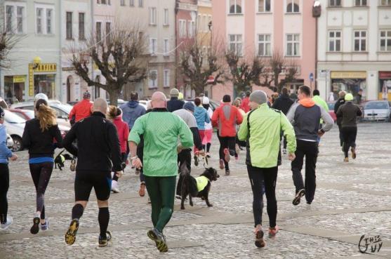 Vánoční běh Broumovem podpořil psí útulek