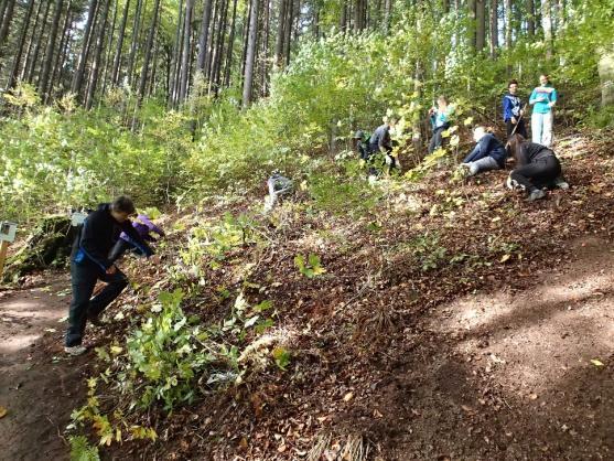 Hronovští osmáci nešli do školy, chtěli pracovat