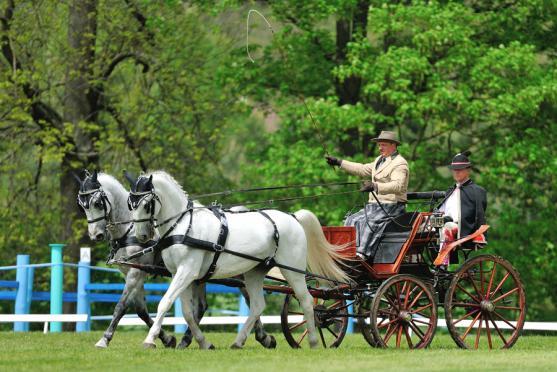 Jiří Nesvačil se stal vítězem v kategorii dvojspřeží při mezinárodních závodech koňských spřežení v Polici nad Metují