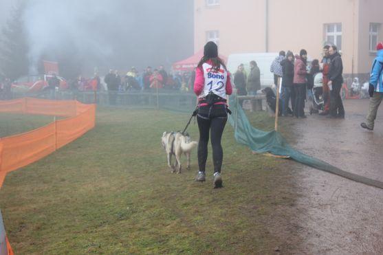 Letos se se psy běhalo a jezdilo na kárách, koloběžkách a kolech