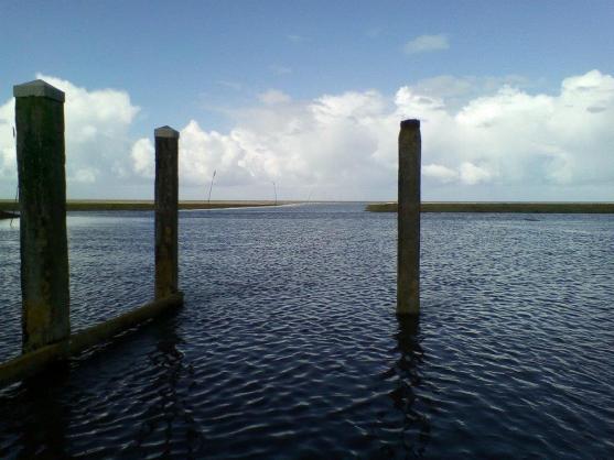 Báječná jízda Holandskem: Broumovští gymnazisté navštívili partnerskou školu ve Warfumu