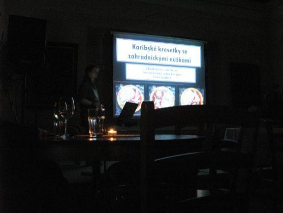 Terminátor a myši v mixéru aneb Věda nemusí být nuda…