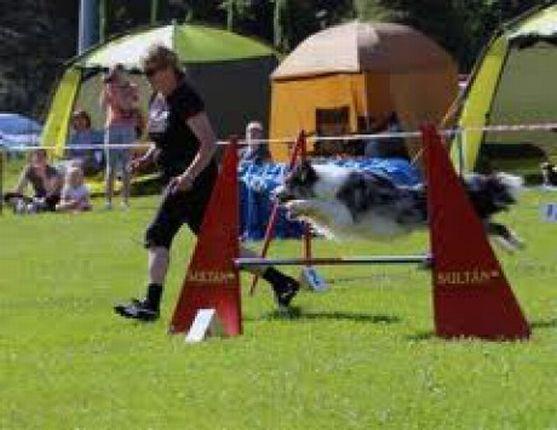 Psí parkur v Polici nad Metují zahajuje svoji činnost