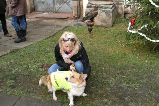 O pět zanedbaných psů z mediálně známého příběhu z Vysočiny se stará broumovský útulek