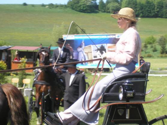 Mezinárodní závody koňských spřežení pořádali o víkendu v Polici nad Metují