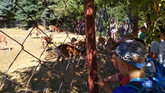 Příměstské tábory v DDM Ulita Broumov