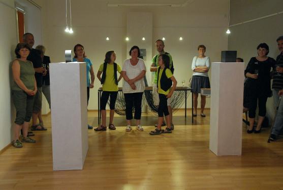 Pavel Frydrych: "Tahle výstava je to nejlepší, co kdy na Terase bylo." 