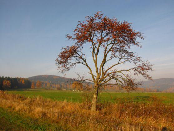 Fotoreportáž: Vzpomínka na barevný podzim