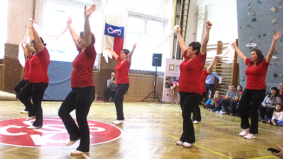 Sokolové v Polici vedou děti od malička