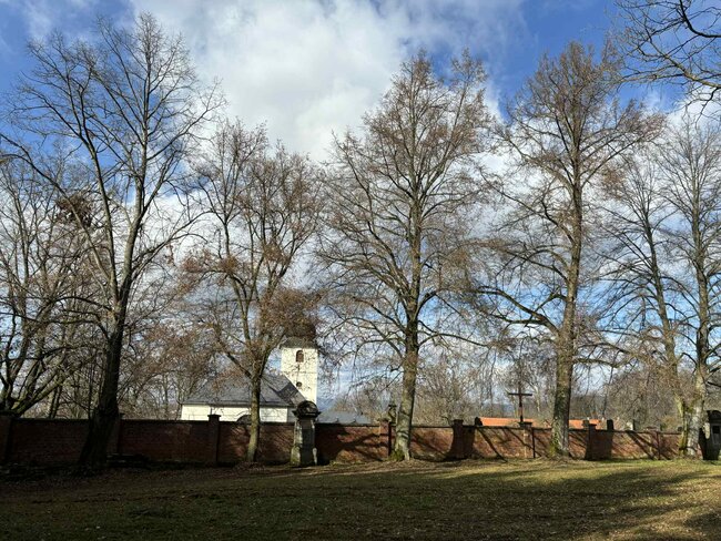 Okolo kostela v Martínkovicích se chystá kácení starých stromů. Místní je chtějí zachránit