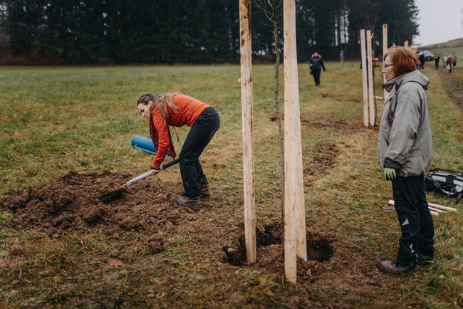 Ovocná alej vysazena na počest loňského Stromu roku