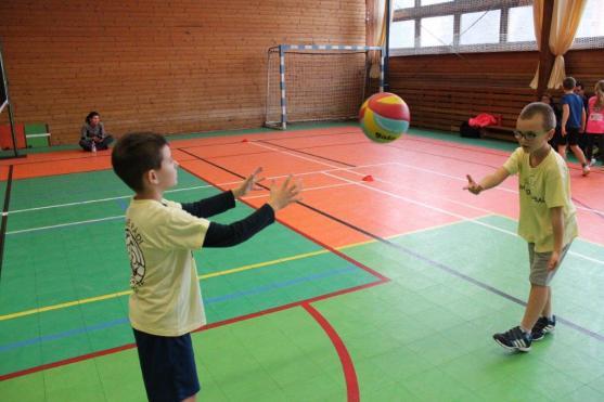 Lednové volejbalové akce