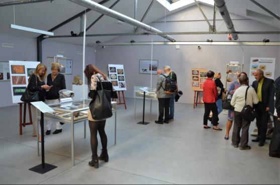 Výstava zkamenělých dřev AlekSandry Niemirowské