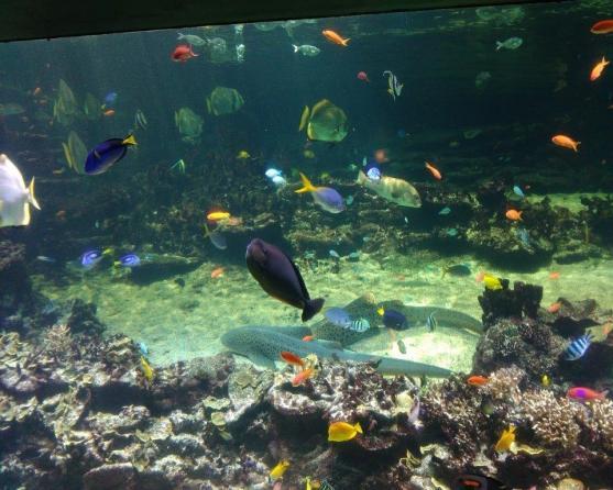 Studenti Gymnázia Broumov se toulali Lucemburskem, francouzskou Pikardií a Belgií