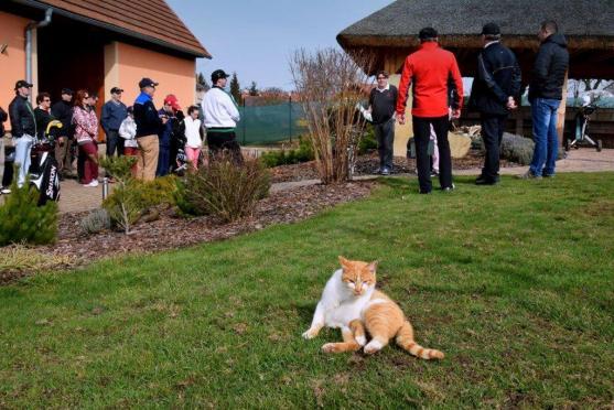 Vydařený Chaloupka Cup odstartoval golfovou sezónu 2017 na Grosshofu