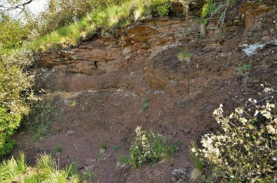 Z Broumova přes Rožmitál k prvohorním sopkám Javořích hor