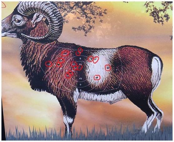 Střelci se rozloučili se sezónou Vánočním turnajem