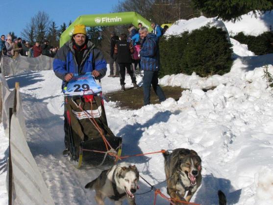 Změna místa závodům psích spřežení neuškodila. Naopak!