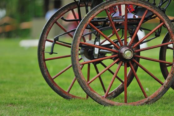 Jiří Nesvačil se stal vítězem v kategorii dvojspřeží při mezinárodních závodech koňských spřežení v Polici nad Metují