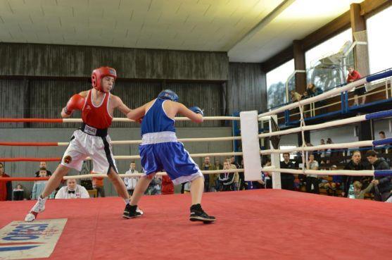 Cesta broumovských boxerů ke dvěma zlatým medailím