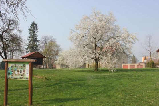 Včerejší zimní pohádka na Ruprechtickém Špičáku