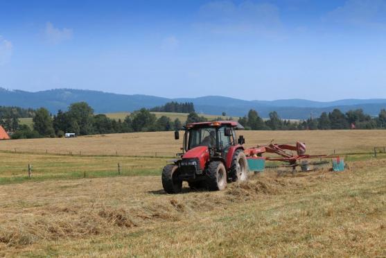 Příběh cesty od zchátralého kravína k jedné z nejlepších farem v České republice 