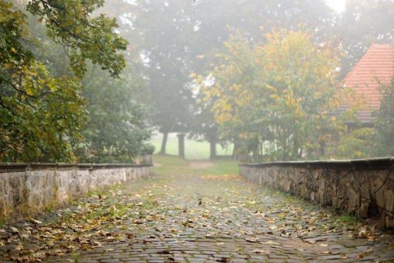 Broumovská klášterní zahrada slaví deset let