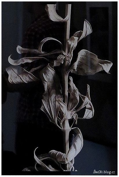 Dernisáž výstavy Jindřicha Růžičky s názvem V prostoru paměti 