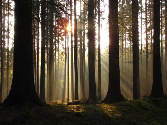 Fotoreportáž: Vzpomínka na barevný podzim